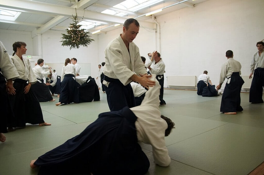 Aikido IV